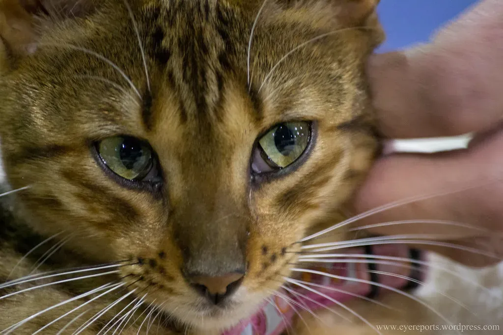 The Science Will Make You Smile (Image Credits: Flickr)