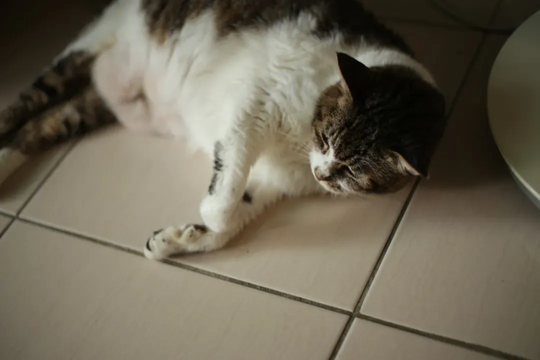 Exposing Their Belly (Image Credits: Unsplash)