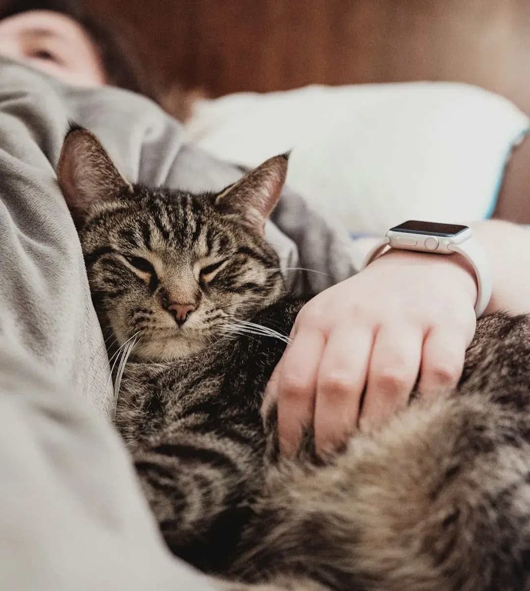 #13 - Sleeping Pressed Against You Recreates the Nursing Pile (Image Credits: Unsplash)
