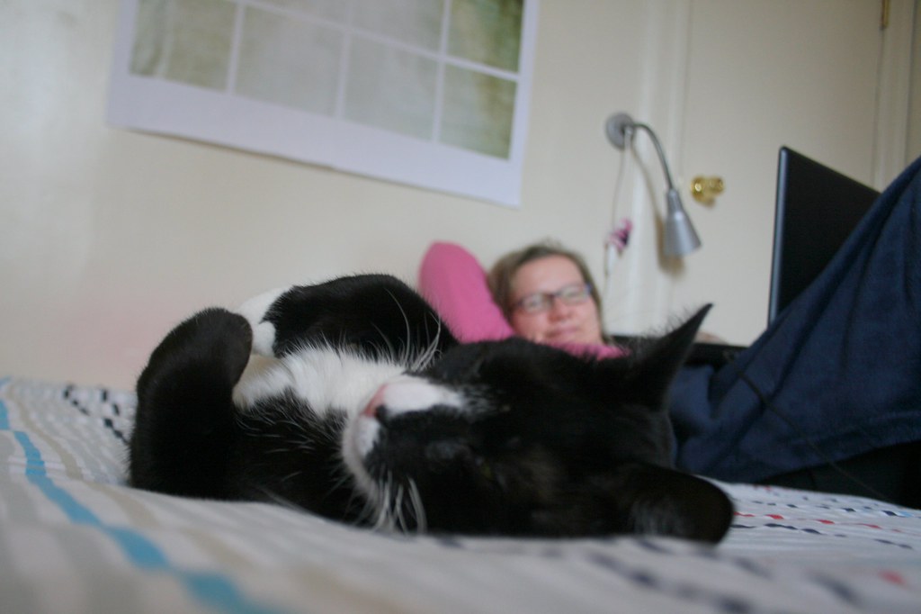 Physical Comfort Versus Sleep Disruption (Image Credits: Flickr)