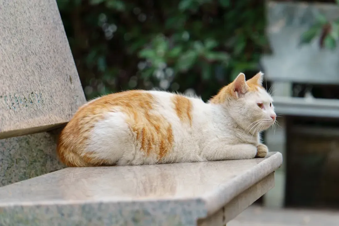 #11 - The Other Animals Who Shared Your Home (Image Credits: Unsplash)