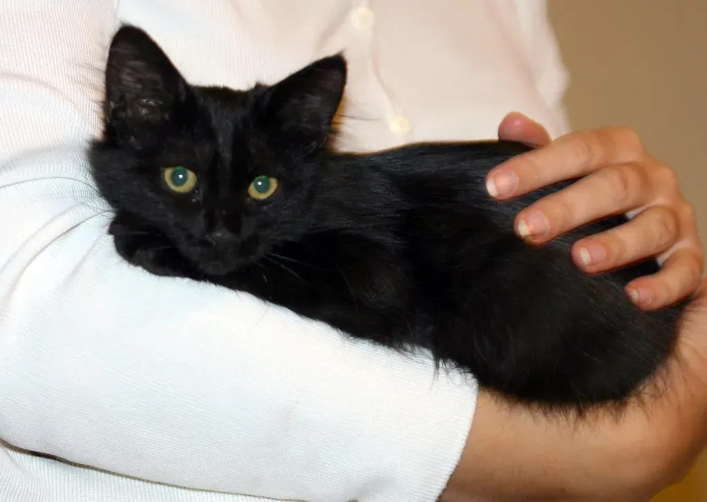 Conclusion (Image Credits: Flickr)