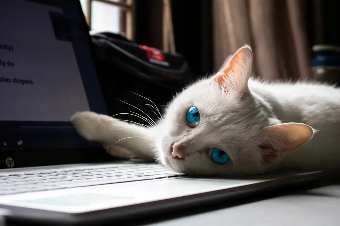 4. Your Work and Screen Habits (Image Credits: Unsplash)