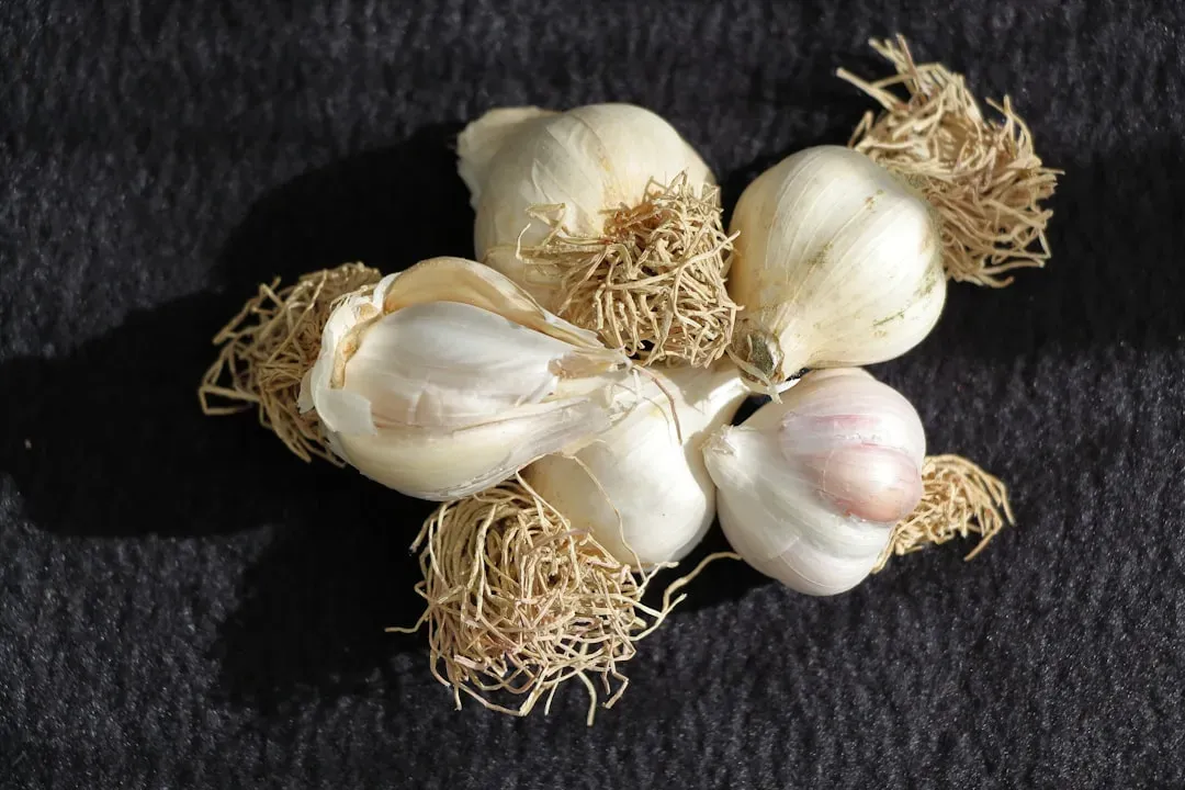 7. Onions, Garlic, and Other Allium Foods: The Kitchen Danger You Never Suspected (Image Credits: Unsplash)