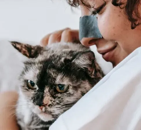 #4 - Sniffing Their Cat's Head on Purpose (Image Credits: Pexels)