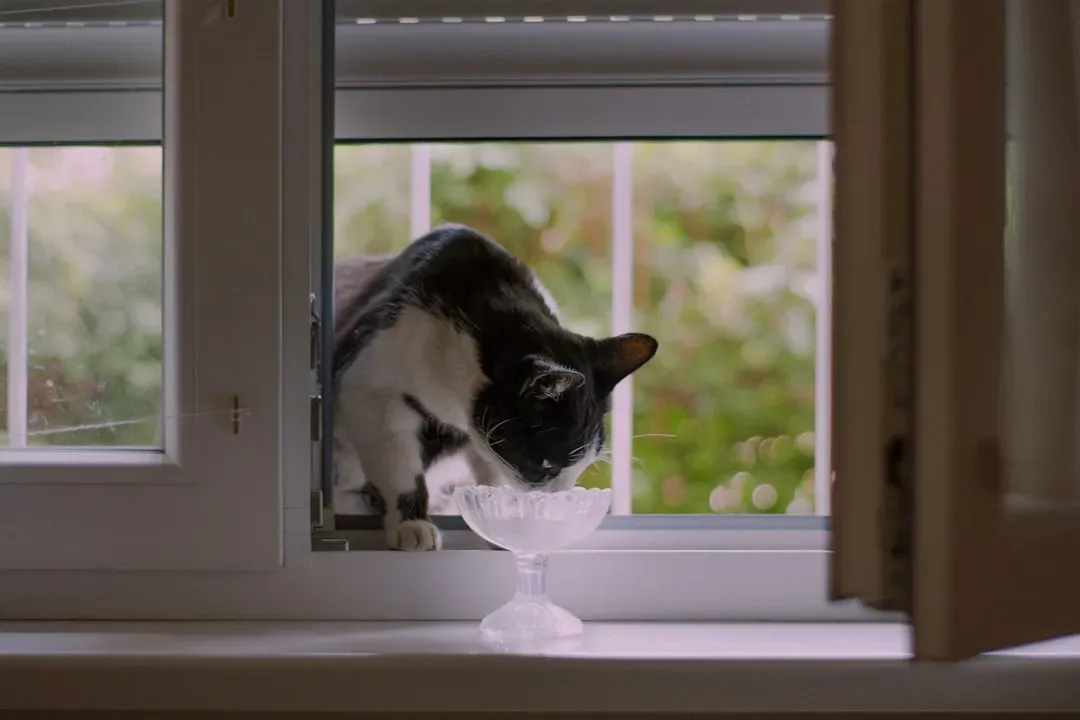 Curiosity, Novelty, and the Forbidden Factor (Image Credits: Unsplash)