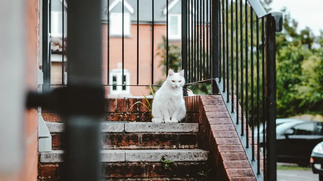 The Truth Behind the Guardian (Image Credits: Unsplash)