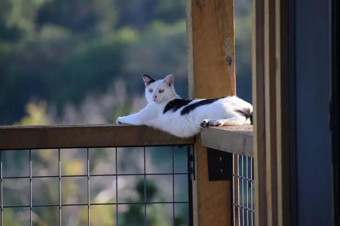 The Tactical Advantage of Altitude: Surveillance and Control (Image Credits: Unsplash)