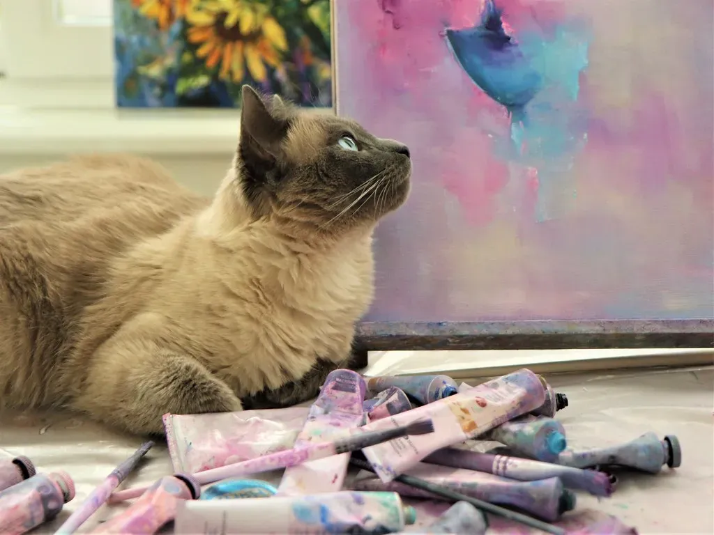 Siamese: The Vocal Devotee (Image Credits: Flickr)