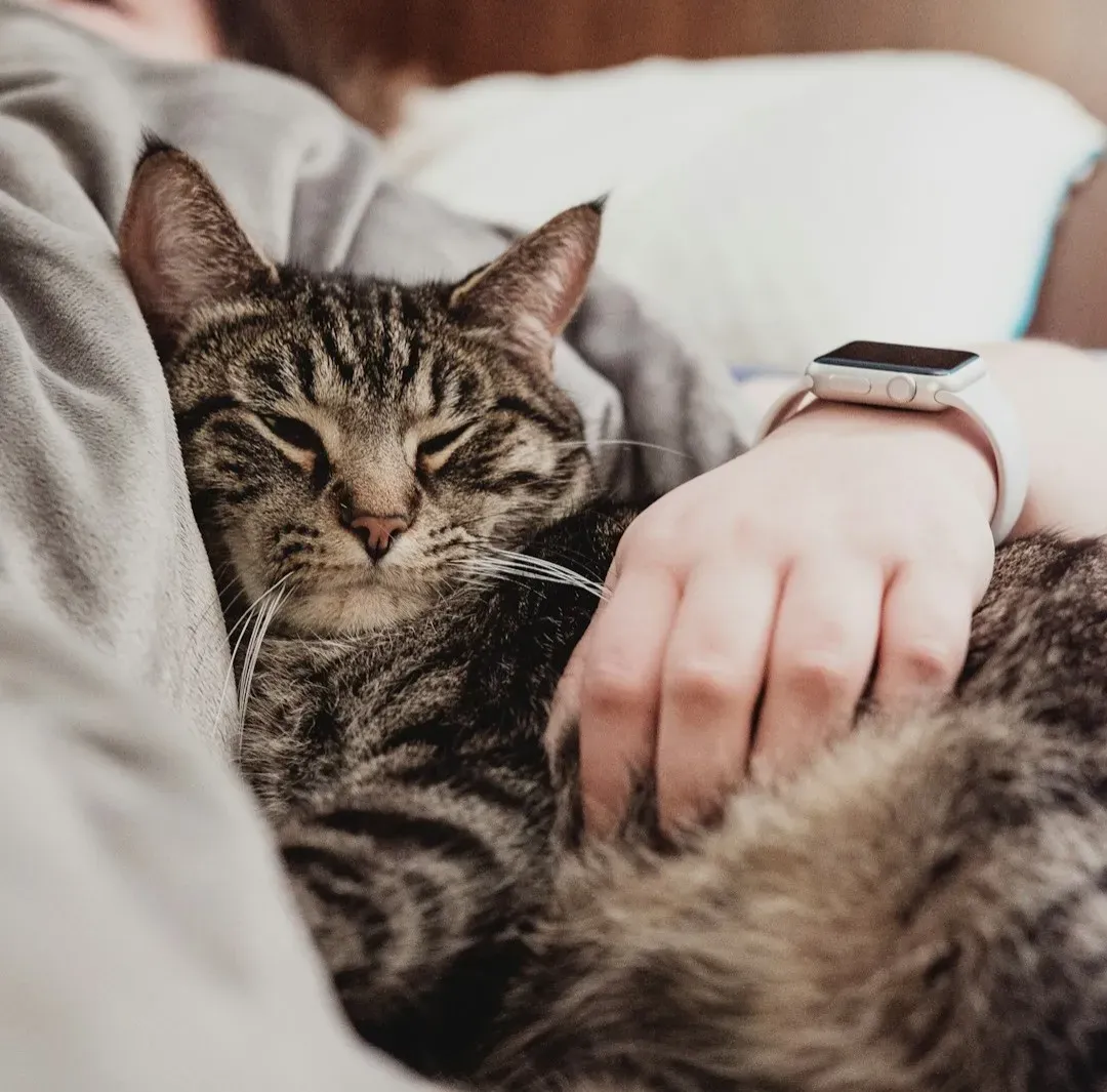 #2 - Sleeping Pressed Directly Against You (Image Credits: Unsplash)