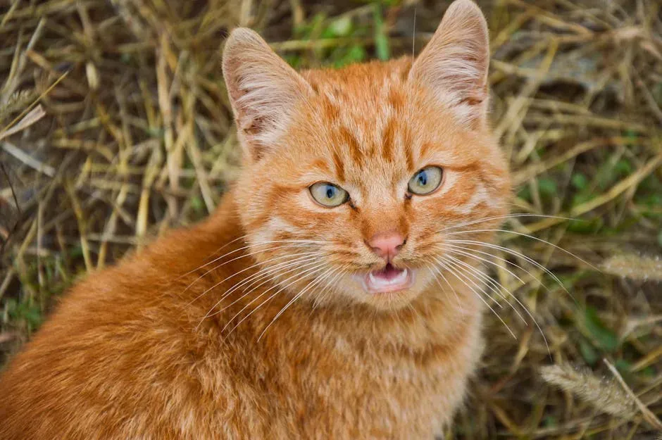 3. The Trill: A Little Hello Wrapped in Sound (Image Credits: Pexels)