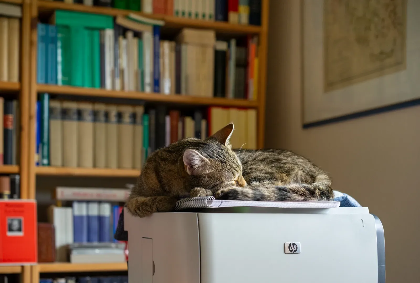 Conclusion: Embrace the Inconvenience (Image Credits: Wikimedia)