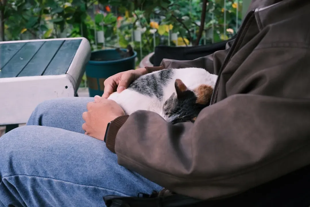 1. Sleeping On Your Lap: The Ultimate Trust Badge (Image Credits: Unsplash)