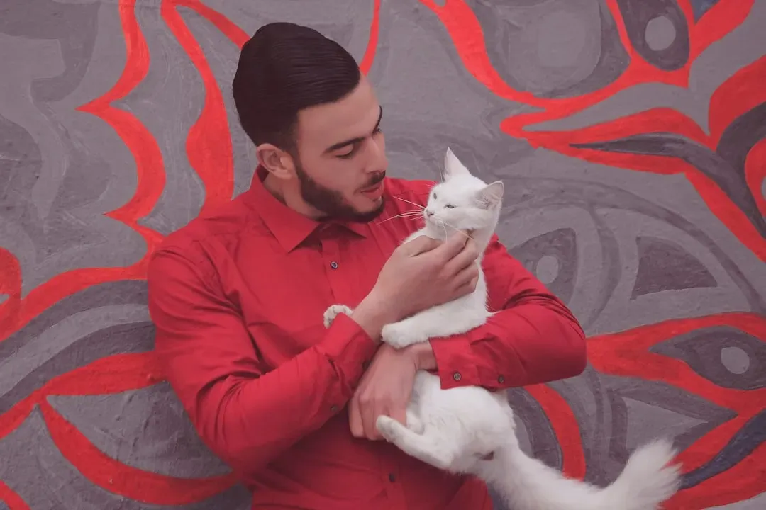 When Human Relationships Trigger Catty Behavior (Image Credits: Unsplash)