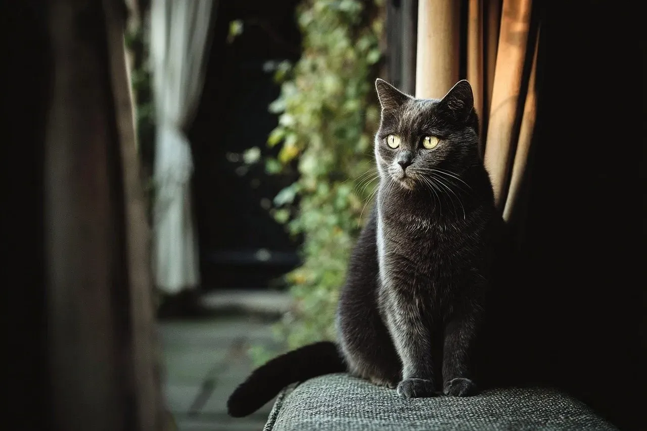 Creating the Right Environment for Training Success (Image Credits: Pixabay)