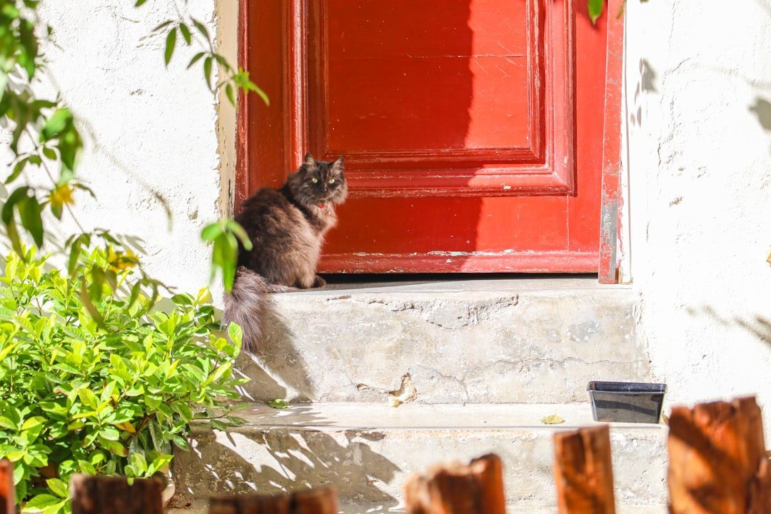 Greeting You at the Door (Image Credits: Unsplash)