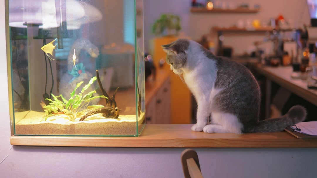 Fish in Open Tanks (Image Credits: Unsplash)