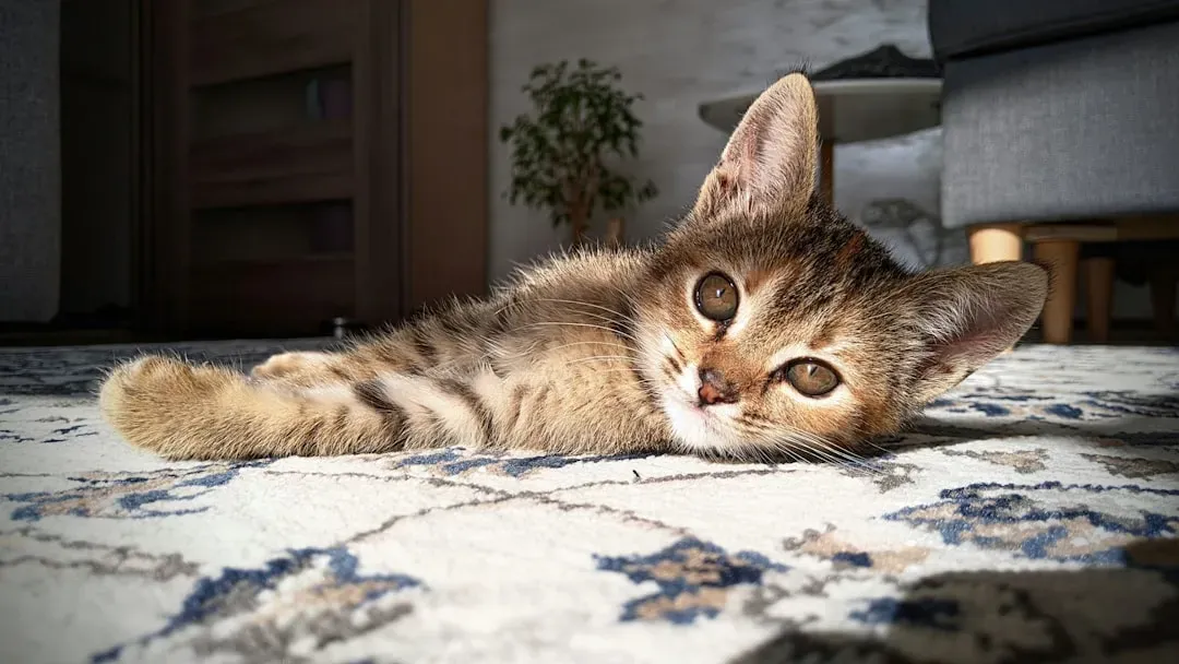 Thermoregulation Challenges for Small Bodies (Image Credits: Unsplash)