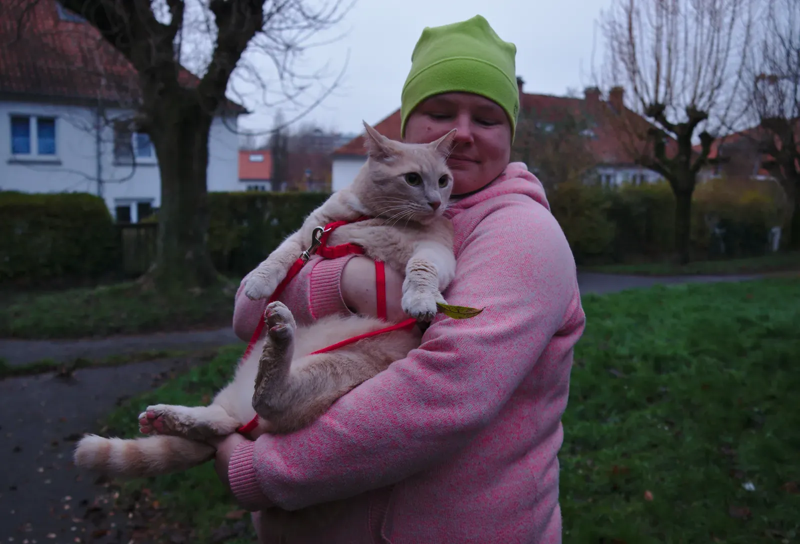 Squeezing Them Into Unwanted Hugs (Image Credits: Wikimedia)