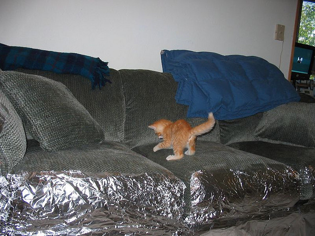 Aluminum Foil: The Shiny Sheet of Terror (Image Credits: Wikimedia)