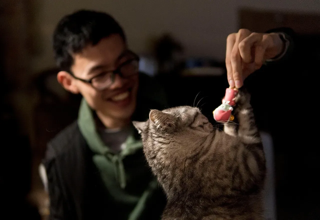 Your Cat May See You as a Clumsy but Important Family Member (Image Credits: Pixabay)