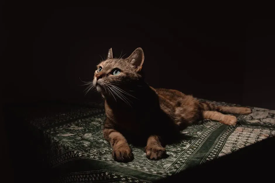 It Gets Worse at Night, and There's a Reason for That (Image Credits: Pexels)