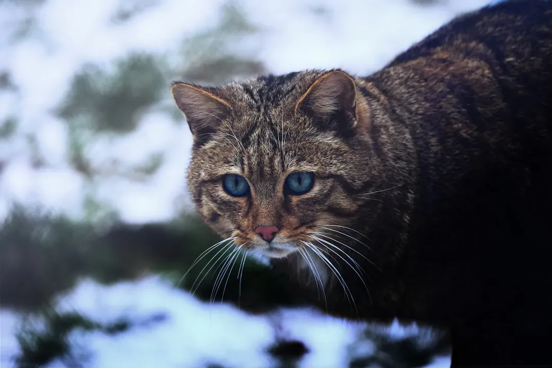 The Ancestral Hunting Blueprint (Image Credits: Unsplash)