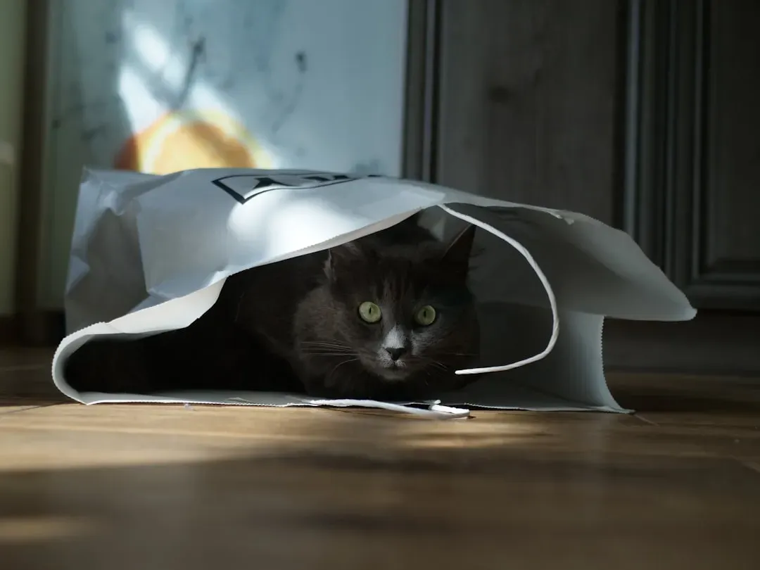 4. Paper Bags: A Crinkly, Tunnel-Like Adventure (Image Credits: Unsplash)