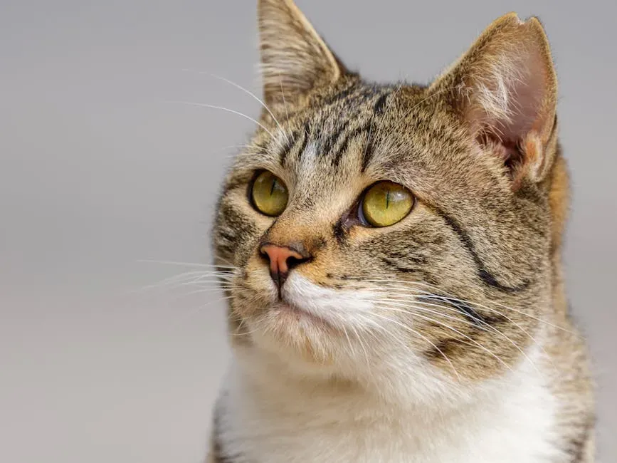 Sensing Cancer: What the Anecdotal Evidence Tells Us (Image Credits: Pexels)