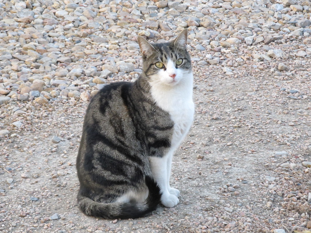 Respecting Their Independence (Image Credits: Flickr)