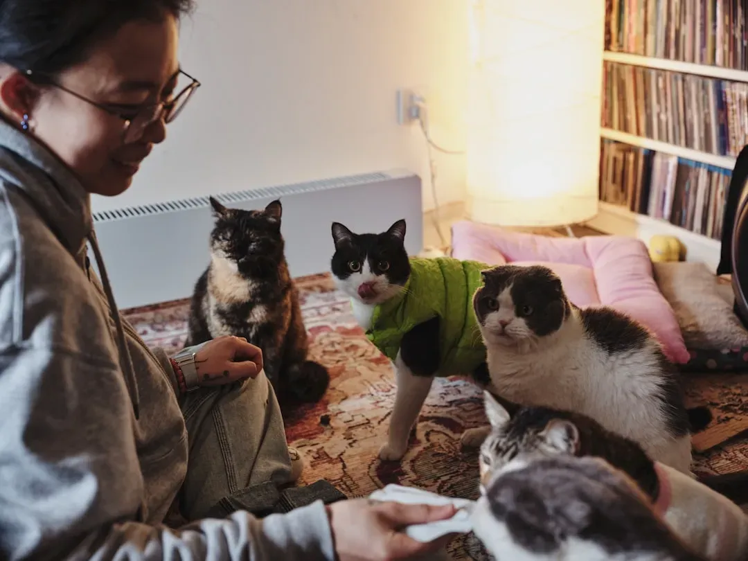 Conclusion: Manipulated, and Completely Fine With It (Image Credits: Unsplash)