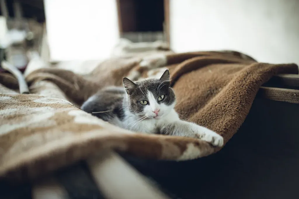 Share Quiet Companionship Time (Image Credits: Flickr)