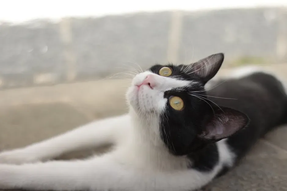 1. The "Pspspsps" Sound (Image Credits: Pexels)