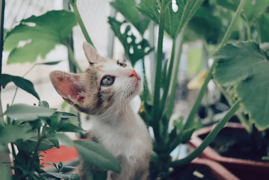 8. Grow an Indoor Cat Garden with Safe Plants (Image Credits: Pexels)