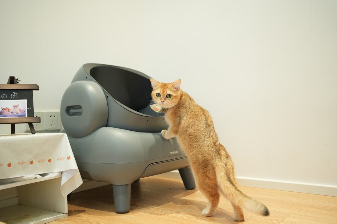 Neglecting Litter Box Maintenance (Image Credits: Unsplash)