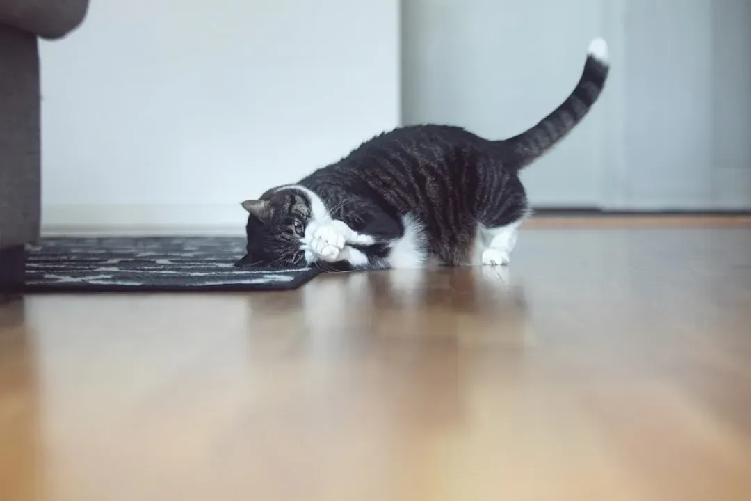 #2 Scent Marking as a Silent Message Board (Image Credits: Unsplash)