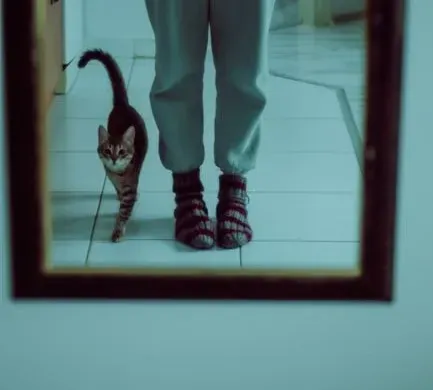 #6 - Changing Their Entire Walking Pattern to Avoid Waking the Cat (Image Credits: Pexels)