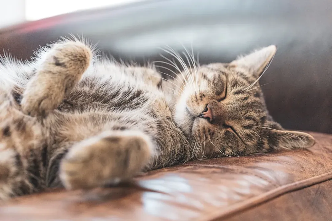 #10 - They Roll With Routine Changes Instead Of Panicking (Image Credits: Unsplash)