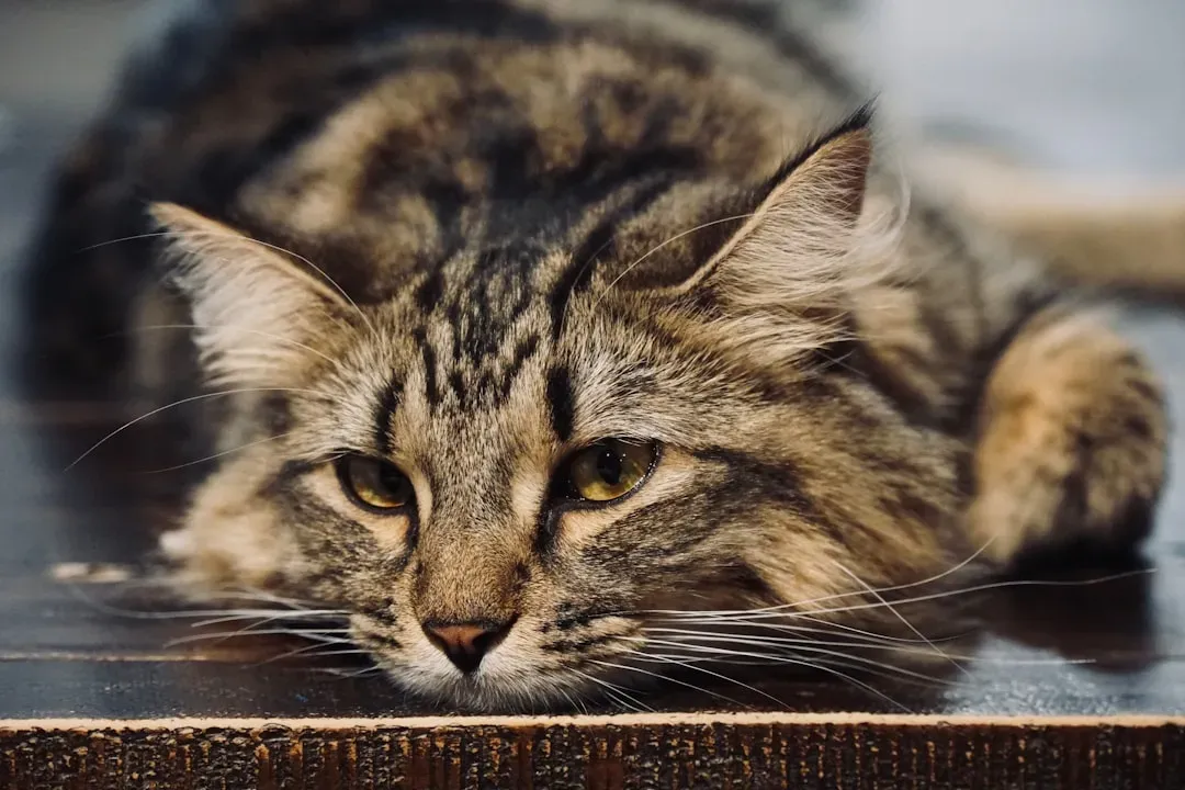 A Few Things Worth Keeping in Mind (Image Credits: Unsplash)