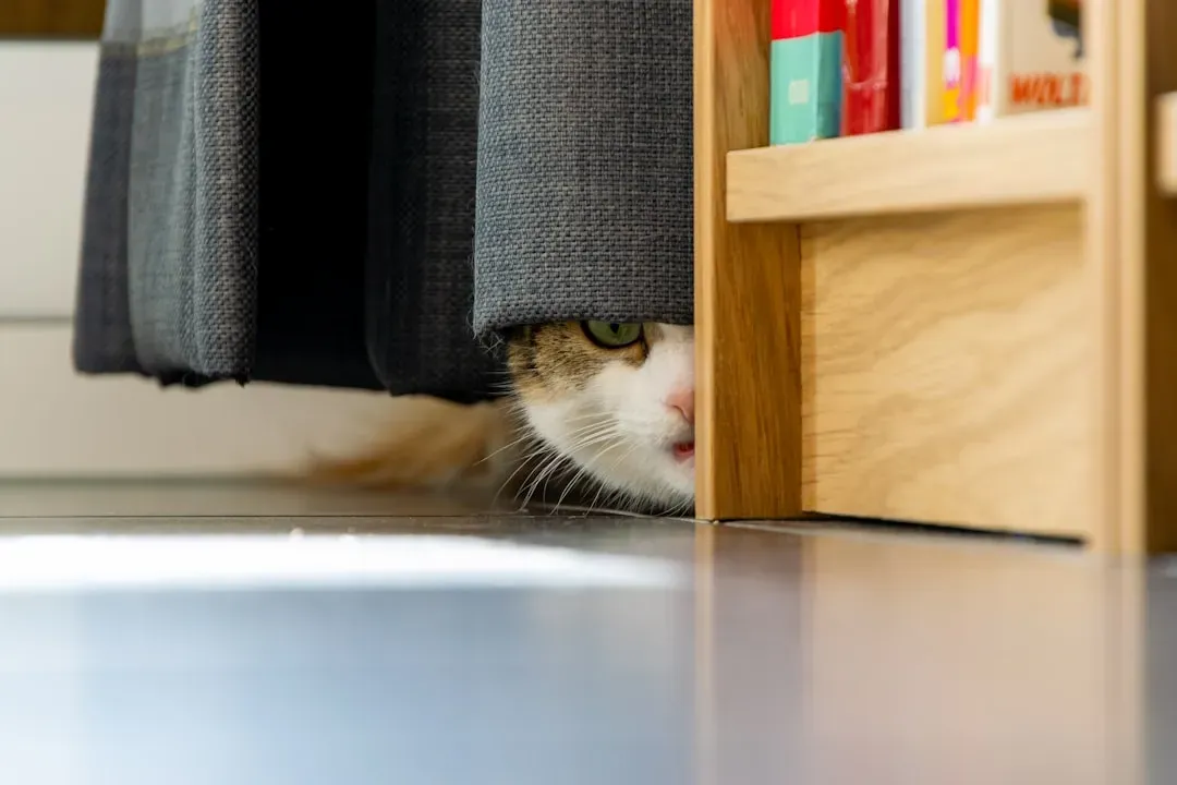 Hiding More Than Usual (Image Credits: Unsplash)