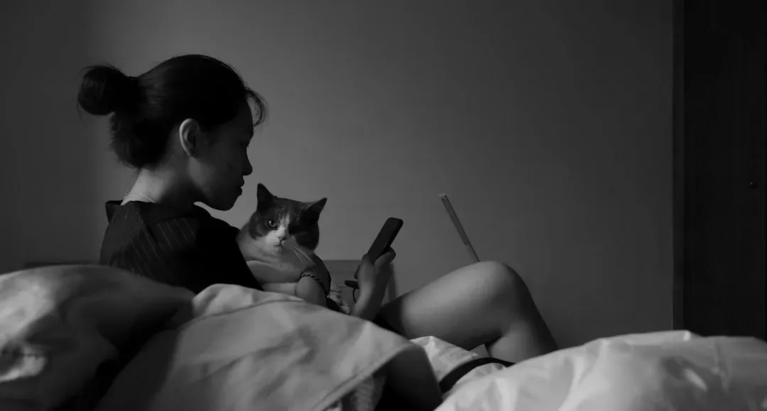 Your Emotional State Can Draw Your Cat Closer at Night (Image Credits: Unsplash)