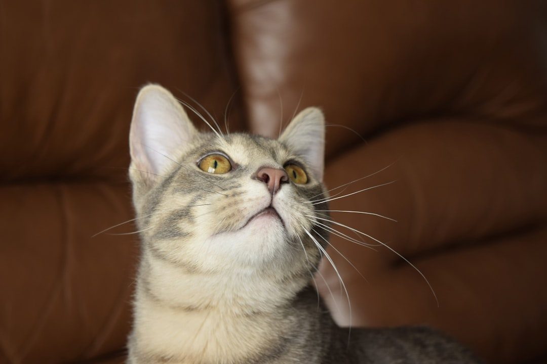 They Engage in Simple Mental Exercises That Keep Them Sharp (Image Credits: Unsplash)