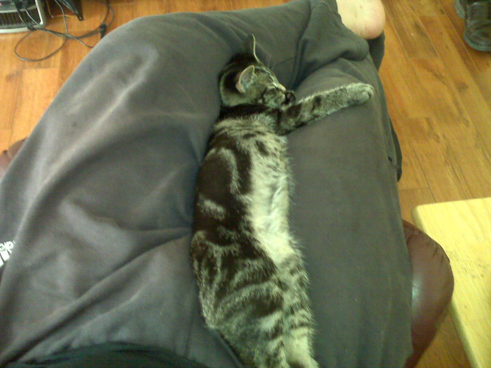 Conclusion (Image Credits: Wikimedia)