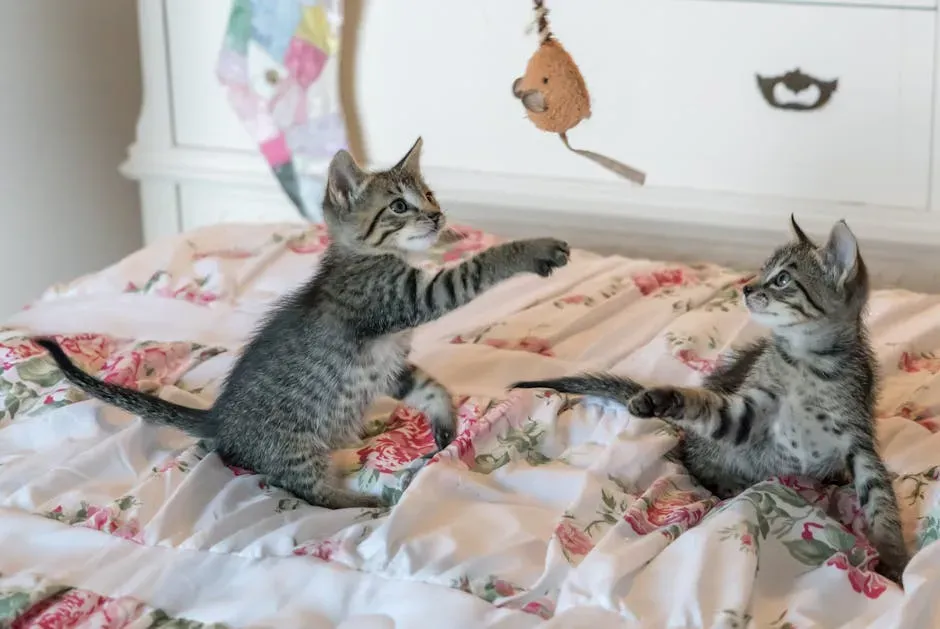 Kittens Learn to Kill Through Play - Starting Surprisingly Early (Image Credits: Pexels)