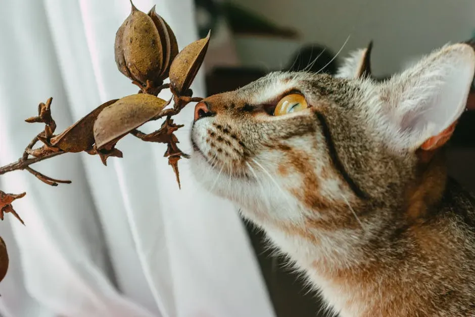 Do Cats Dream in Smells? The Sensory Dimension (Image Credits: Pexels)