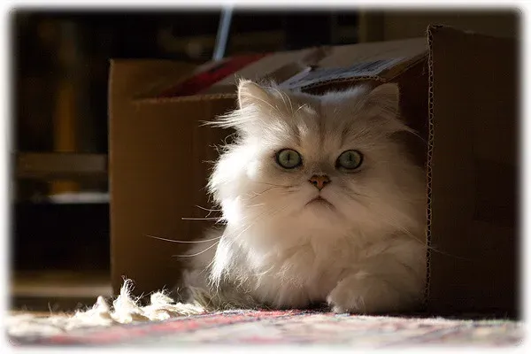 #11 - You Always Leave Them an Escape Route (viZZZual.com, Flickr, CC BY 2.0)