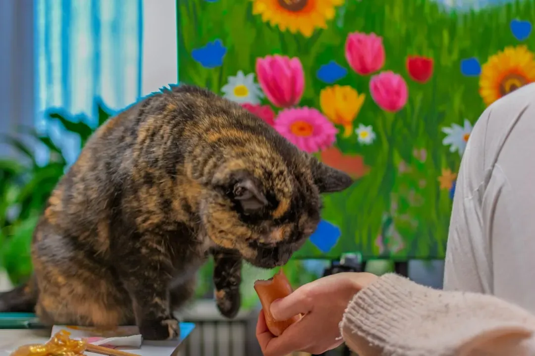Your Cat Absolutely Can Be Trained - and It Makes Them Happier (Image Credits: Unsplash)