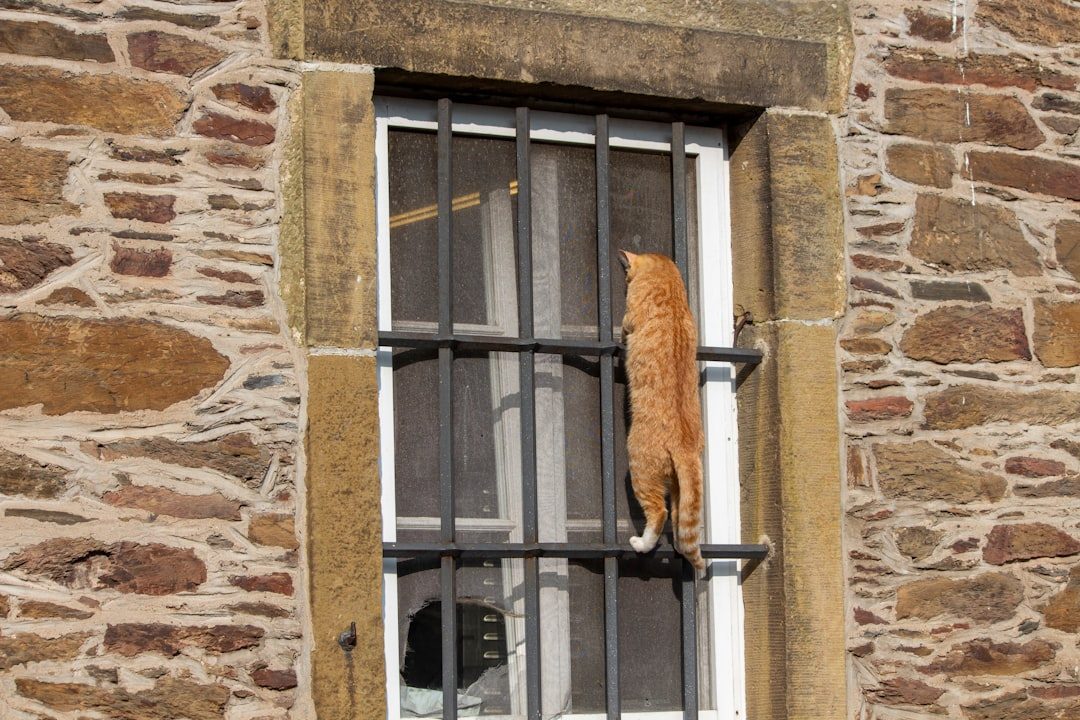 Territorial Surveillance Operations (Image Credits: Unsplash)