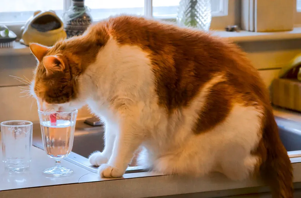 Height Matters: The Vulnerability Factor You Never Considered (Image Credits: Flickr)