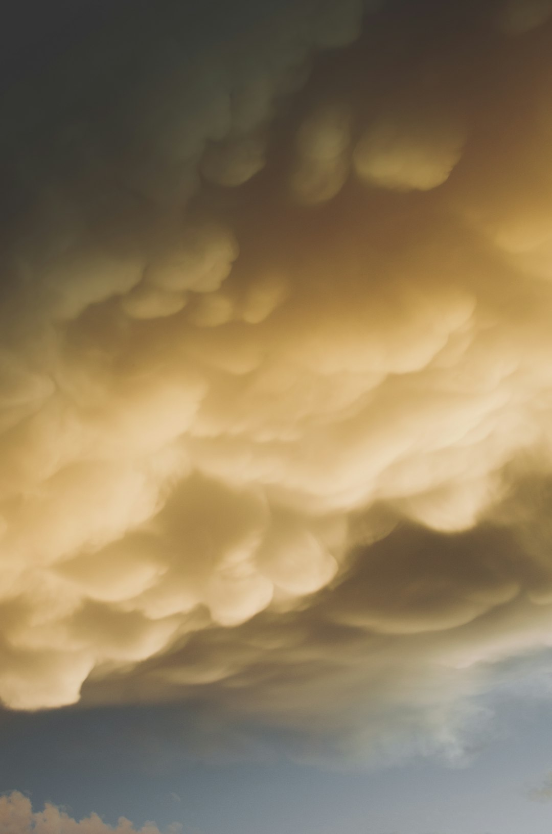 Sagittarius: The Wind Whisperer (Image Credits: Unsplash)